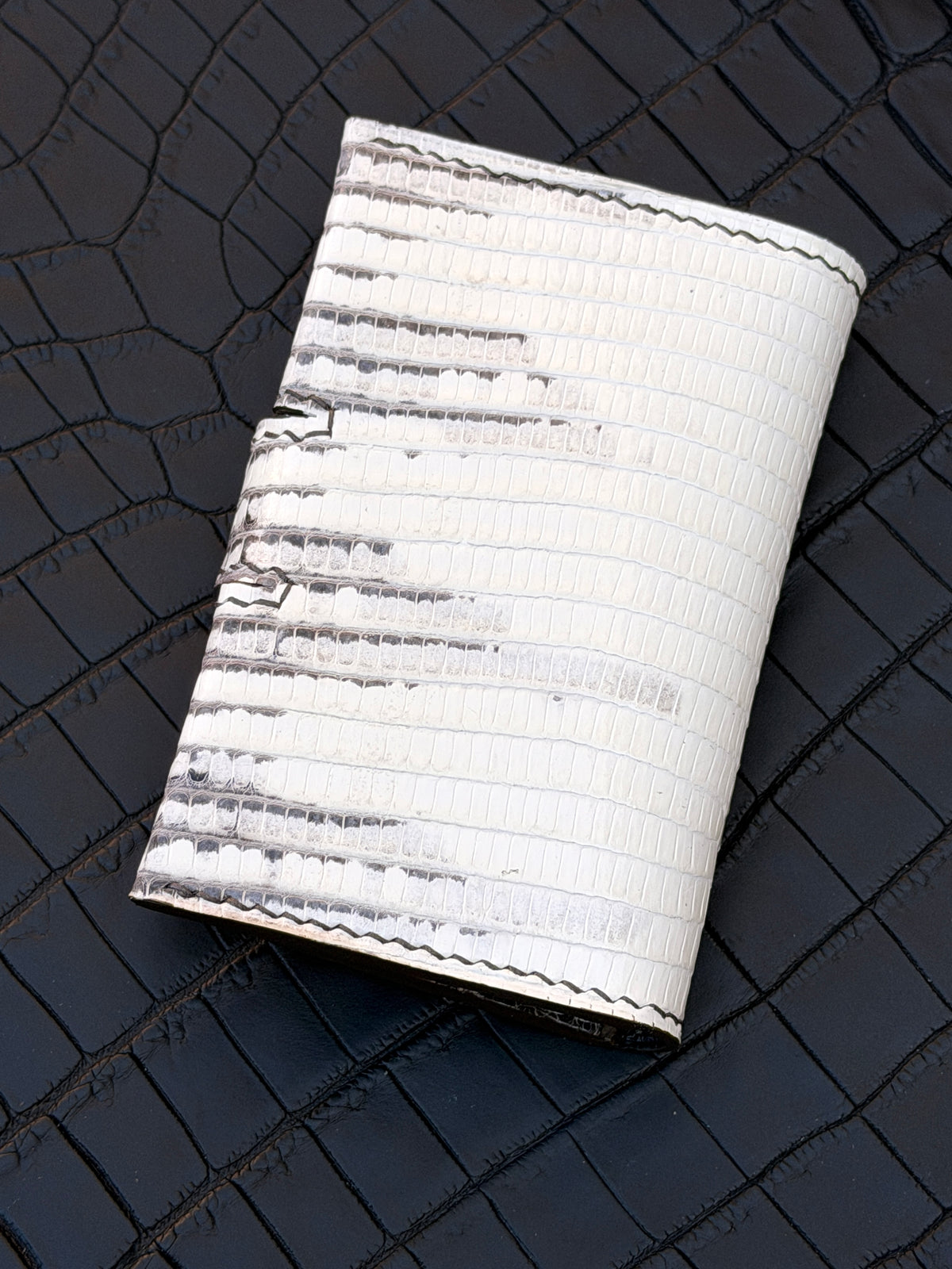 Bifold Cardholder Icare Ombré lizard