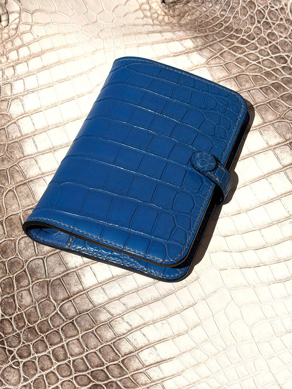 Meridian Passport Holder Blue Azur Matte Crocodile