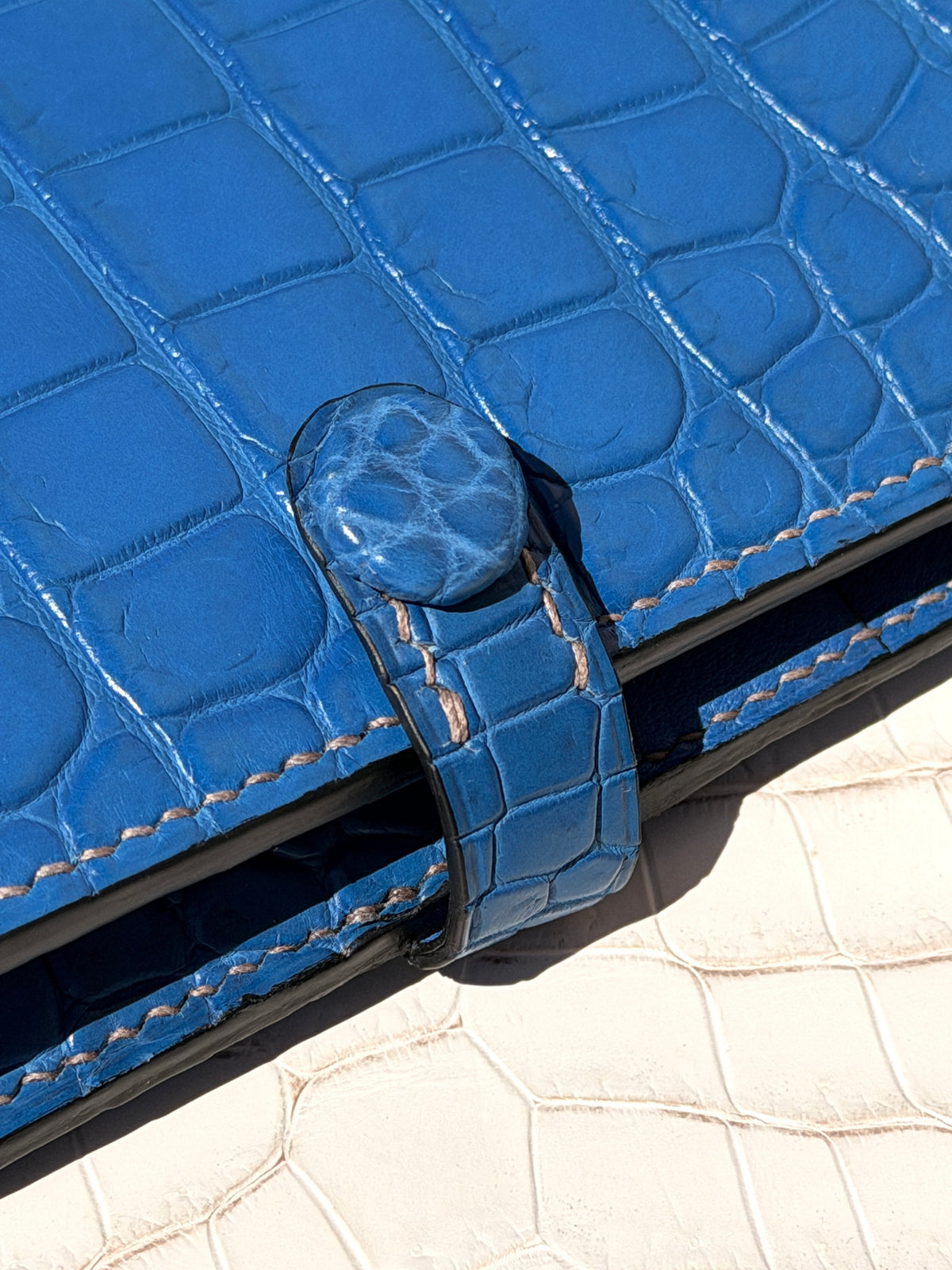 Meridian Passport Holder Blue Azur Matte Crocodile
