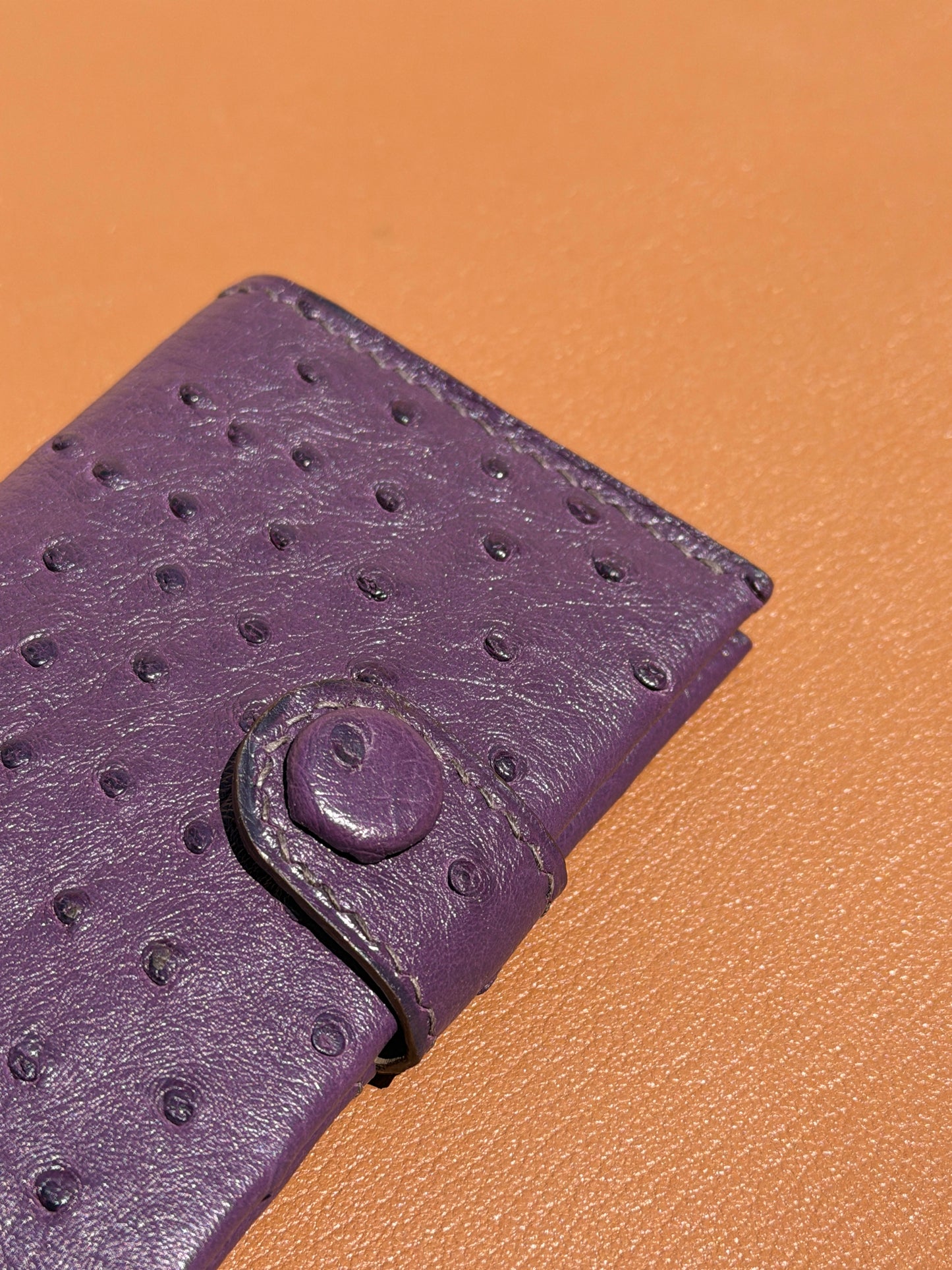 Bifold Cardholder Icare Ostrich Eggplant